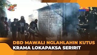 DBD MAWALI NGLAHLAHIN KUTUS KRAMA LOKAPAKSA SERIRIT [upl. by Shute]