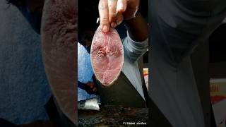 tuna fish cutting skills [upl. by Gnohc]