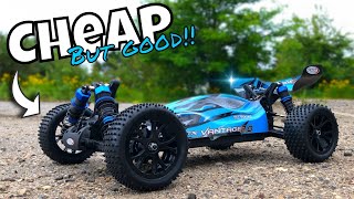 The BEST Cheap RC Buggy 110 You Can Buy at Your LHS The NEW FTX Vantage 20 [upl. by Kirshbaum]