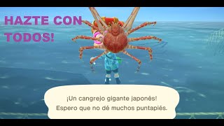 COMO PESCAR UN CANGREJO GIGANTE JAPONES EN 30 SEGUNDOS ANIMAL CROSSING NEW HORIZONS [upl. by Arber]