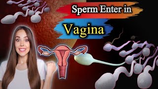 quot Sperm’s Path to Fertilization 🌟  How It Enters the Vagina and What Happens Next quot [upl. by Mharg]