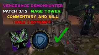 Vengeance Demon hunter Mage Tower Challenge Highlord Kruul  Patch 915 Only 1 Attempt Needed [upl. by Dumanian]