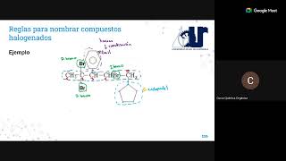 Clase 10 Domingo Compuestos orgánicos halogenados [upl. by Sheley]
