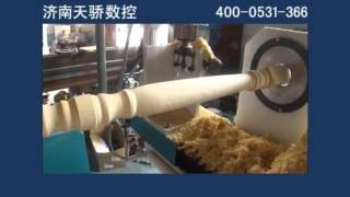 3 axis automatic wood turning machine with CADCAM software [upl. by Rogerson953]