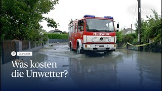 Hochwasser „Kurzfristig steigt das BIP langfristig bleiben Schäden“ [upl. by Saisoj571]