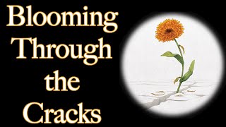 Blooming Through the Cracks  Book Trailer [upl. by Ecinrev]