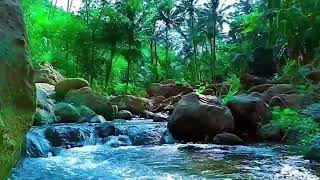 RELAXING NATURE SOUND  INSOMNIA ANDA HEALINGSLEEP MUSICRIVER SOUNDRIVER SOUNDS FOR SLEEPING [upl. by Seline]