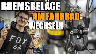 Bremsbeläge am Fahrrad wechselntauschen  Bremssattel schleiffrei einstellen [upl. by Yamauchi]