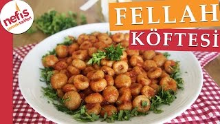 Fellah Köftesi Tarifi  Bulgur Köftesi  Nefis Yemek Tarifleri [upl. by Cudlip253]