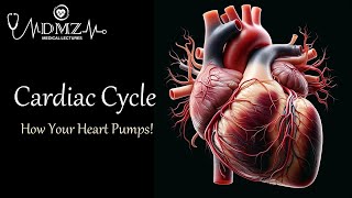 Cardiac Cycle Part 1 Atria and Ventricles as Pumps amp Phases of Ventricular Contraction [upl. by Wertz]