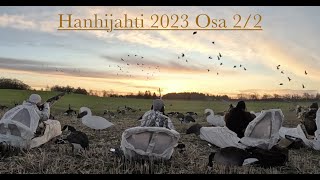 Hanhijahti 2023 Osa 22 [upl. by Kalasky]