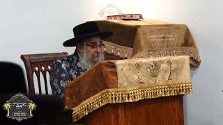 Satmar Rebbe 9 Av 5784 [upl. by Eserrehs]