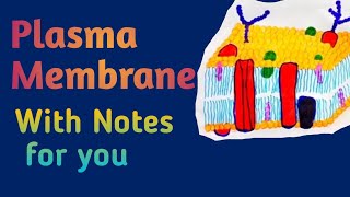 Plasma Membrane  Class 11 Lecture2  Cell  Biology  FSC 1st year MedicalMedicos [upl. by Ayel]