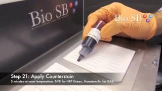 Bio SB Chromogenis InSitu Hybridization CISH  Demonstration Video [upl. by Ilrebmyk]