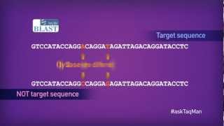 Which Quencher Molecule is Best for TaqMan® Probes in RealTime PCR  Ask TaqMan® Ep 3 [upl. by Margarethe]