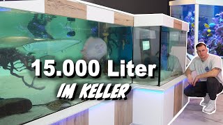 Hobbykeller  15000 Liter Aquarien  FETTE FISCHE  TECHNIK  Rochen Arowanas  Meerwasser KRASS [upl. by Ard]