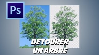 photoshop détourer un arbre [upl. by Shelby]