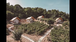 ŠIFRA 7071818 PRODAJA PLACA 11260M2 GLAMPING BANSTOL SREMSKI KARLOVCI [upl. by Asirahc178]