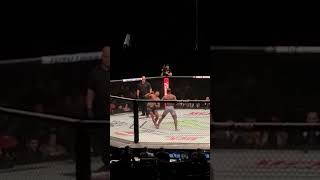 Francis Ngannou KO Alistair Overeem [upl. by Eras]