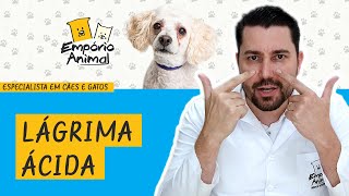 Como eliminar a Lágrima Ácida do seu pet  cães e gatos [upl. by Anahc727]