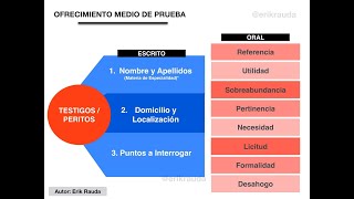 CÓMO OFRECER TESTIGO O PERITO EN JUICIO PENAL  ESCRITO DE OFRECIMIENTO ETAPA INTERMEDIA [upl. by Frasquito]