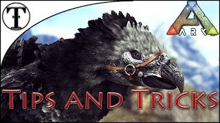 Fast Argentavis Taming Guide  Ark  Survival Evolved Tips and Tricks [upl. by Ikkin]