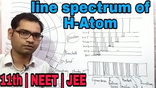 Line spectrum of Hydrogen  Emission spectrum l line spectra [upl. by Kendyl706]