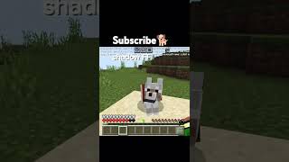 Labra dog 🐕 subscribe and like 🐕❤️ [upl. by Attenyt]