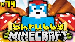 Das SCHLÜMPFELAND  Minecraft Shrubby 74 DeutschHD [upl. by Nalliuq]