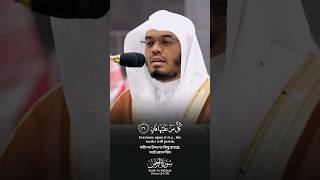 Surah ArRahman Verse 2429🎙️Sheikh Yaseer AlDosariسورةالرحمن ياسرالدوسري القرآنالكريم fyp [upl. by Krysta]