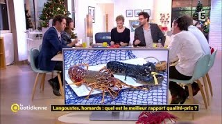 Langoustes homards  quel est le meilleur rapport qualitéprix [upl. by Jacobs]