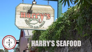 St Augustine Local Gems you HAVE TO eat at Harrys Seafood Bar and Grill [upl. by Vincenty]