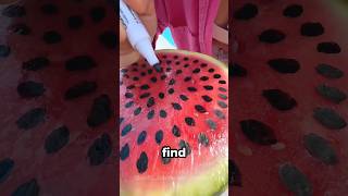 How She Uses a Watermelon for the Most Genius Prank [upl. by Phillipe]