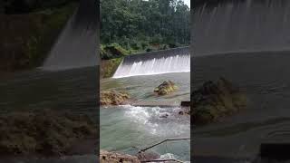 Waterfall Mainpaat machhli point blogar viralvideo shortsviral bloger mini vlog [upl. by Sjoberg9]