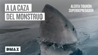 En busca del mayor superdepredador de las profundidades  Tiburones [upl. by Nomaj872]