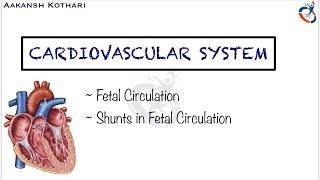 Fetal Circulation Shunts in Fetal Circulation  Cardiovascular System Embryology by Aakansh Kothari [upl. by Adnarom]