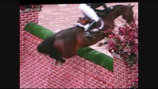 Puissance WIHS  Horse jumps 7 foot wall [upl. by Gleason]