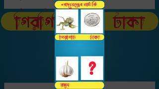 বাদ্যযন্ত্রের নাম কিGuess The InstrumentGK Mojar DhadhaShortsviraltradingধাঁধা ধাঁধাpointgk [upl. by Noj]