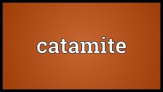 Catamite Meaning [upl. by Gewirtz404]