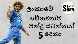 Top 5 Fast bowlers in Sri Lanka [upl. by Nedarb]