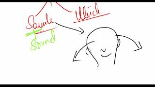 Otolith  Utricle  saccule and maculae  Physiology of balance  equilibrium and Ear [upl. by Aicrop]