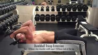 Lying Dumbbell Tricep Extension [upl. by Shani]