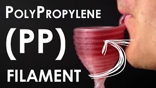 3D printing Polypropylene PP filament  FormFutura Centaur PP™ REVIEW [upl. by Lehmann]