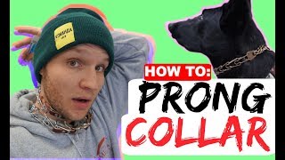 How to properly fit a prong collar  Sizing and position of the prong collar  Dog Training Collars [upl. by Carolyn]