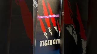 Thaibox sparring Tiger Gym Praha🇨🇿thaifighter muaythai thaiboxing sports [upl. by Maxi]