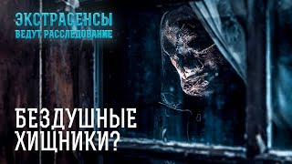 Не для слабонервных самые ужасающие душегубства – Экстрасенсы ведут расследование [upl. by Deland]