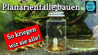 Planarienfalle selber bauen  DIY Projekt zur Bekämpfung von Planarien im Aquarium [upl. by Oiril]