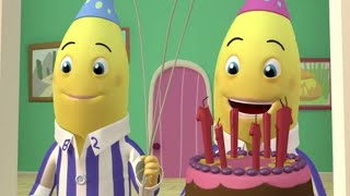 Party Time Compilation  Full Episodes  Bananas in Pyjamas Official [upl. by Sissy]