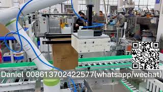 How does the robot palletizer to packing the box into carton  Earphone robotarm packing line [upl. by Alexandro]