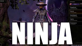 Last Epoch  The Ninja Lightning Shuriken [upl. by Ainex]